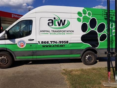 Are you looking for the best pet ground transport reviews? Pet Transport Ground Services Below are ATW ground pet ...