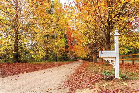 Shades Of Autumn In Countryside Village Maples Road Dirt Road Photo