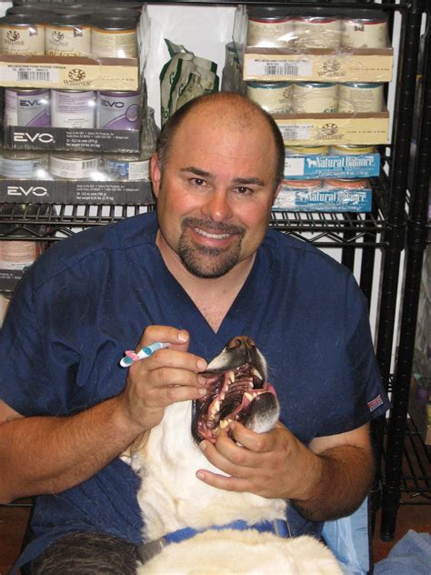 Take care of your teeth, it makes the job easier. Anesthesia free dog Teeth Cleaning
