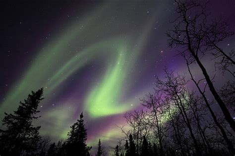 Aurora Borealis Green Northern Lights Pretty Purple Sky Image