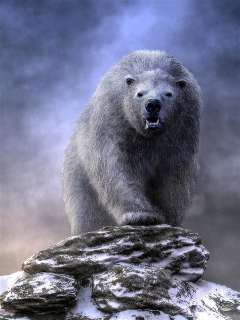 King Polar Bear Digital Art By Daniel Eskridge Pixels