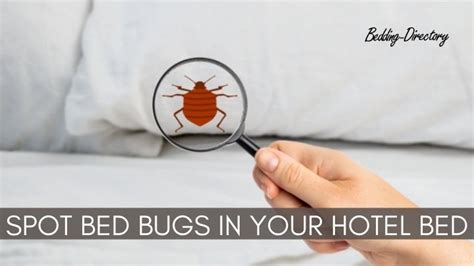 5 Signs Your Hotel Bed Has Bed Bugs Tips To Spot Them Early Bedding