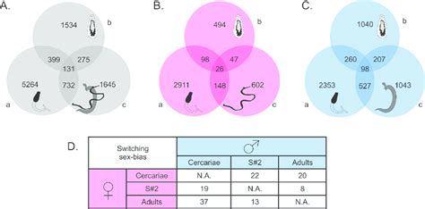 venn diagrams of sex biased genes for each of the three developmental download scientific