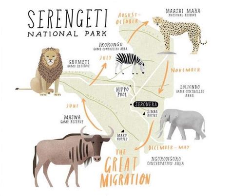 10 Fascinating Facts About The Great Wildebeest Migration Tanzania
