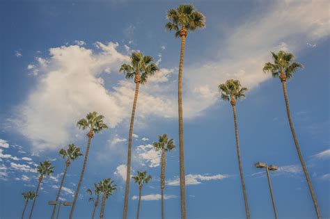 Whole foods market torrance is your organic grocery store. 2501-2685 Pacific Coast Hwy, Torrance, CA 90505 - Rolling ...