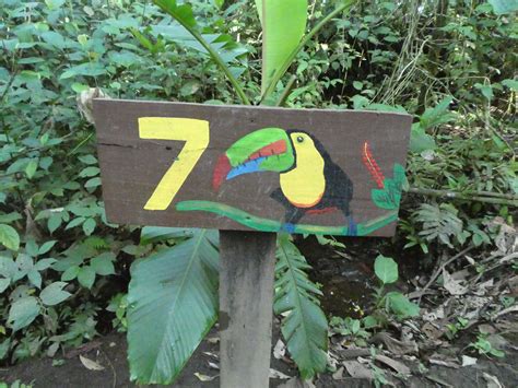 Bogarin Trail Wildlife Centre La Fortuna Costa Rica 18 Photo