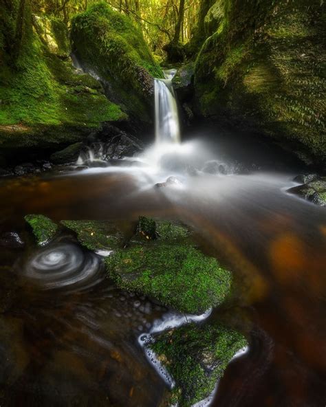 Dylan Toh And Marianne Lim On Instagram Recent Rains Breathed Life Into