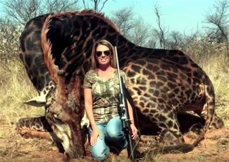Black widow was trained as an assassin in the red room program (watch agent carter if you it's fascinating to me that she's drawn to the only person in her orbit who's particularly bothered by it, by its always baffled me when people say black widow and hawkeye were flirting in the first avengers. American Hunter who killed a rare Black Giraffe in South ...