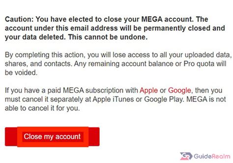 How To Delete MEGA Account Permanently Step By Step GuideRealm