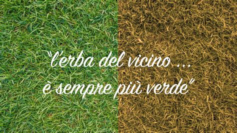 Anche perché se da un lato ci lusingano gli sguardi altrui, dall'altro ci mortificano gli sguardi di lui altrove. l'erba del vicino è sempre più verde: Onlus vs APS