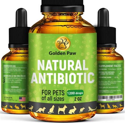 Natural Antibiotic For Dogs Immune System Booster For Dogs Kennel