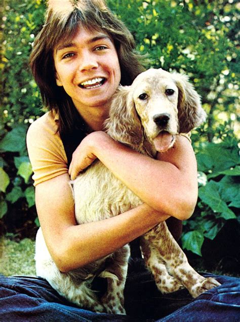 Yes Love Forever Posts Tagged David Cassidy Sue Shifrin Dominion