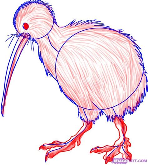 In art classes, i was always told never to smear (blend) the graphite or use eraser, but tutorials like this one are making me change my mind. How To Draw A Kiwi by Dawn | Bird drawings, Drawings, Bird ...