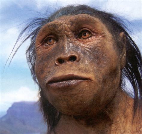 Es Un Homínido Extinto Que Vivió En África En Las Edades Gelasiense Y