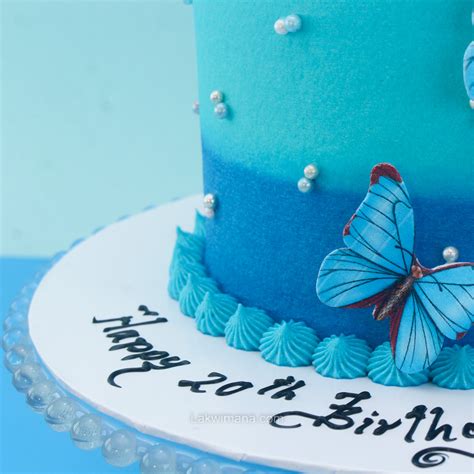 Prettiest Butterfly Cake 13kg Lakwimana