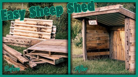 How to Build a Sheep Shelter - Easy Animal Shed - Livestock Shelter