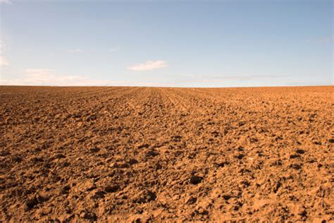Empty Muddy Field Of Red Soil Stock Photo Download Image Now Istock