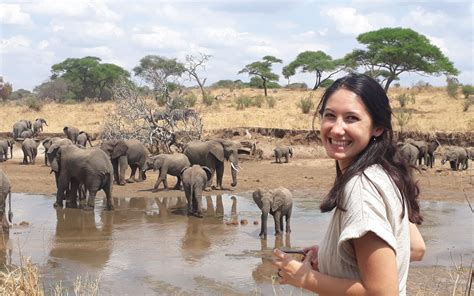Exceptional Wildlife Safaris In Tanzania Africa Wild Tanzania Safaris