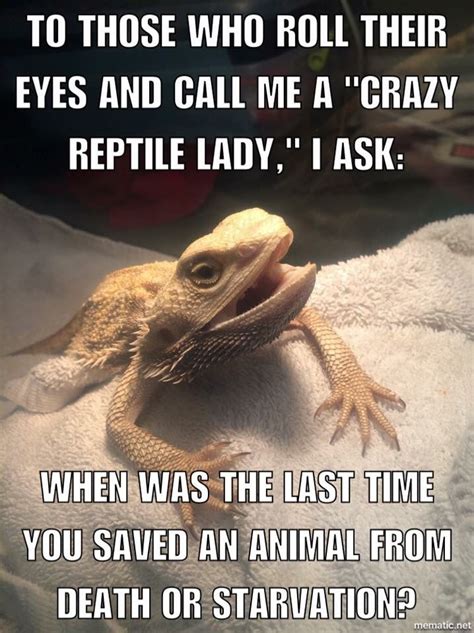 Lizard Quotes Funny Shortquotescc