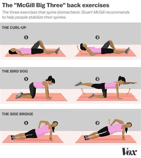 The 3 Best Exercises To Prevent Low Back Pain Mona Vale Chiropractic