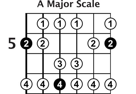 How To Play Guitar Scales For Beginners
