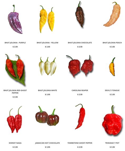 Top 90 Images Types Of Chili Peppers Pictures Latest 112023