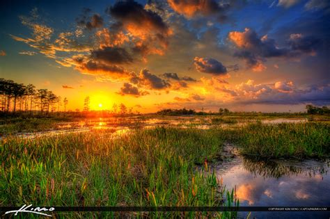 Sunset At Wetlands Slough Palm Beach County Hdr Photography By