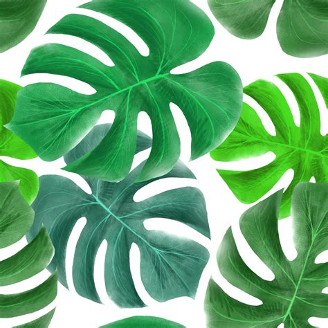 Tropical Leaves Pattern Free Stock Photo Public Domain Pictures