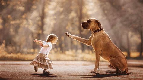 Photographer Captures The Wonder Of Kids And Their Big Happy Dogs