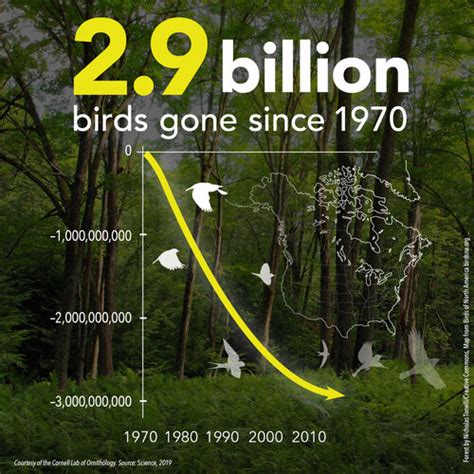 Study Climate Change Threatens Over 64 Of North American Birds Wlns