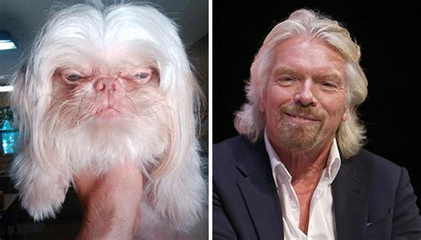 The Best Animal Celebrity Lookalikes Youll See Today The Poke