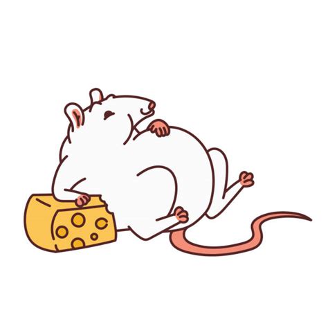 Fat Mouse Cartoon Illustrations Royalty Free Vector
