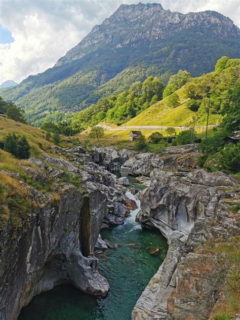 Natural Beauty Of Nature Switzerland Stock Photo Image Of Tree