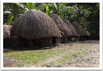 Rumah tradisional Honai di Wamena Papua | Home Design and ...