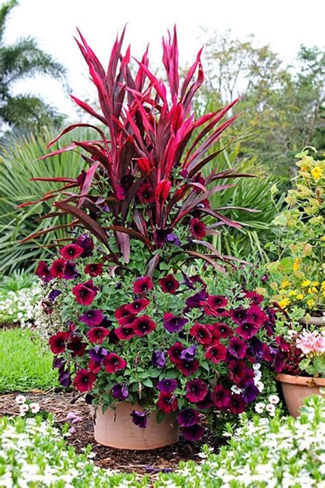 28 Stunning And Beautiful Flowers For Outdoor Pots Ideas 2019 In 2020