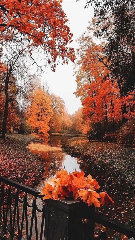 100 Ideas To Decorate Your Screen With A Fall Iphone Autumn Aesthetic