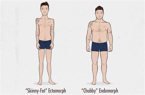 The Male Body Types Ectomorph Endomorph Mesomorph
