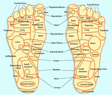 Chinese Reflexology Foot Chart