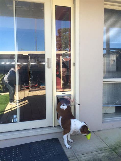 We did not find results for: Patiolink Pet Door Insert for Sliding Doors