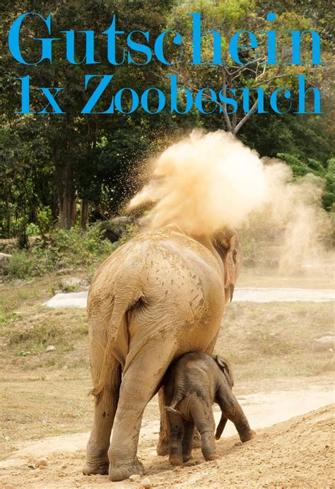 Gutscheinvorlagen für den Zoo | Gutscheinspruch.de