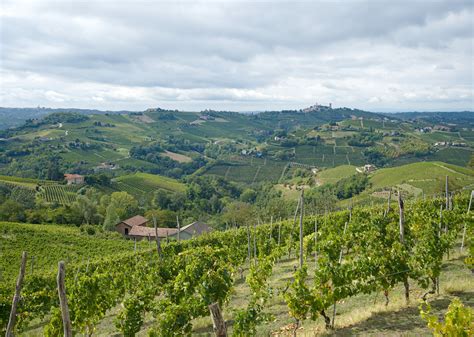 Roadtrip In The Piedmont Wine Region Our Favorites