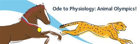 Ode To Physiology Animal Olympics The Winners The Physiological