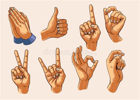 Hand Drawn Of Various Male Hand Poses Stock Illustration Illustration