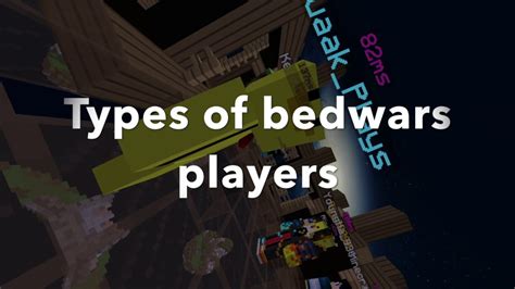 Types Of Bedwars Players 1 Youtube