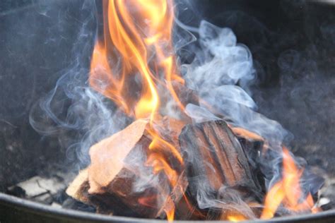 Green Firewood Should You Burn It