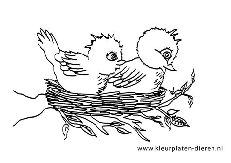 Kleurplaat vogel nestje Kleurplaten DierenKleurplaten Dieren