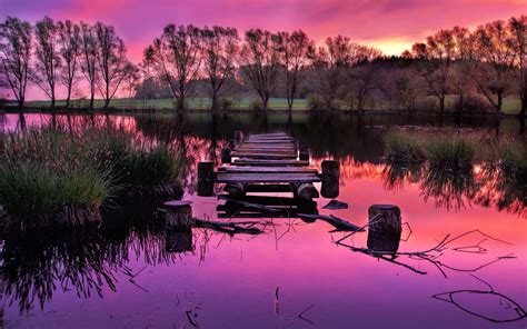 Pink Tree By Lake Wallpapers Wallpaper Cave