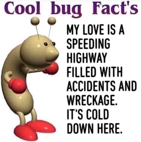 View 17 Cool Bug Facts Meme Template Quotesensebook