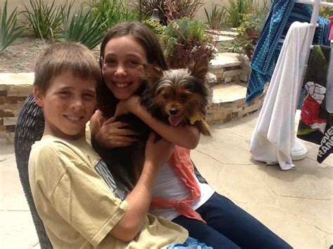 Zoes Friends Animal Rescue Hooray Im Adopted276 Doggies Adopted So Far~﻿sadiehey My