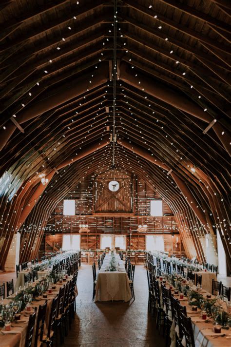 I see a wedding trend for photoshoots next year…photo by bec from carson hall photography of fiona, the other half of carson hall photography. The Blue Dress Barn | Benton Harbor, Michigan, United ...